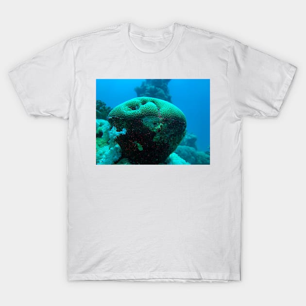 coral reef with fish T-Shirt by likbatonboot